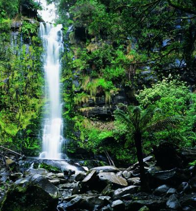 Great Otway National Park - Erskine Falls near Lorne