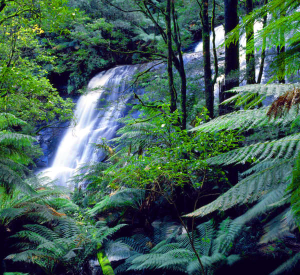 Great Otway National Park - Triplet Falls