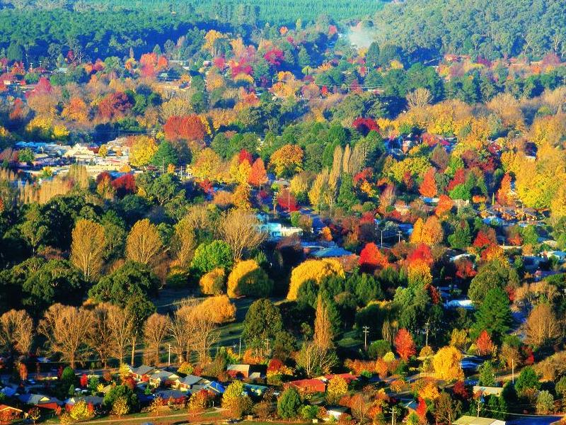Alpine Region - Aerial view of Bright in autumn