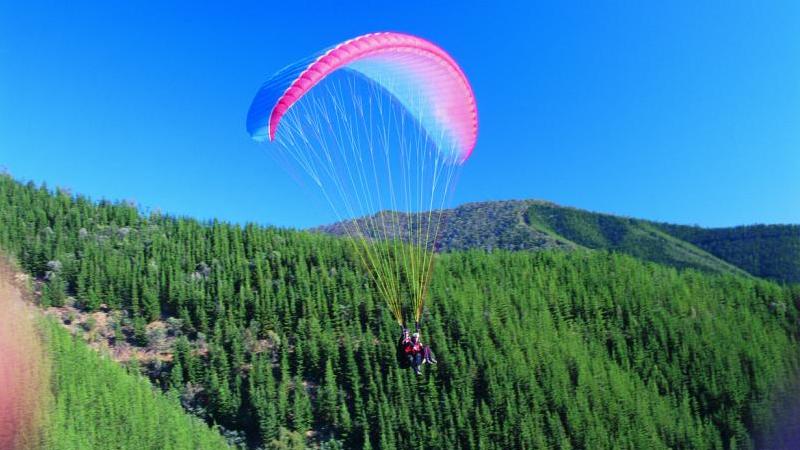 Alpine Region - Paragliding at Bright
