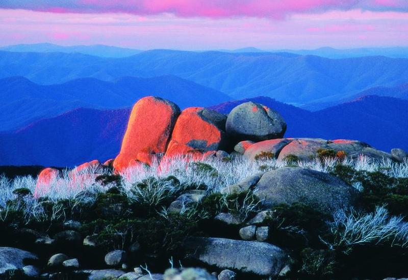 Alpine Region - Mount Buffalo