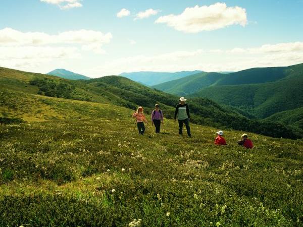 Alpine Region - Mount Feathertop