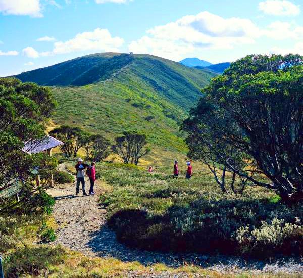 Alpine Region - Razorback and Mount Feathertop