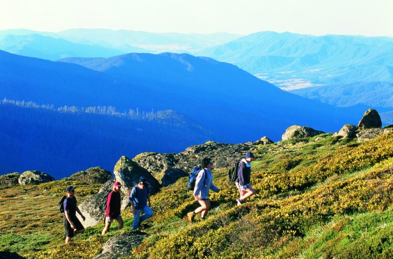 Alpine Region - Hiking at Falls Creek
