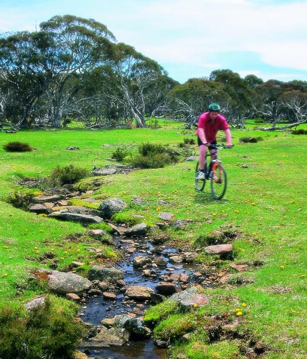 Alpine Region - Cross-country bike riding
