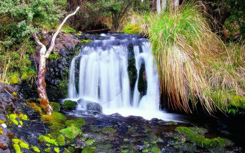 Alpine Region - One of many waterfalls in the region