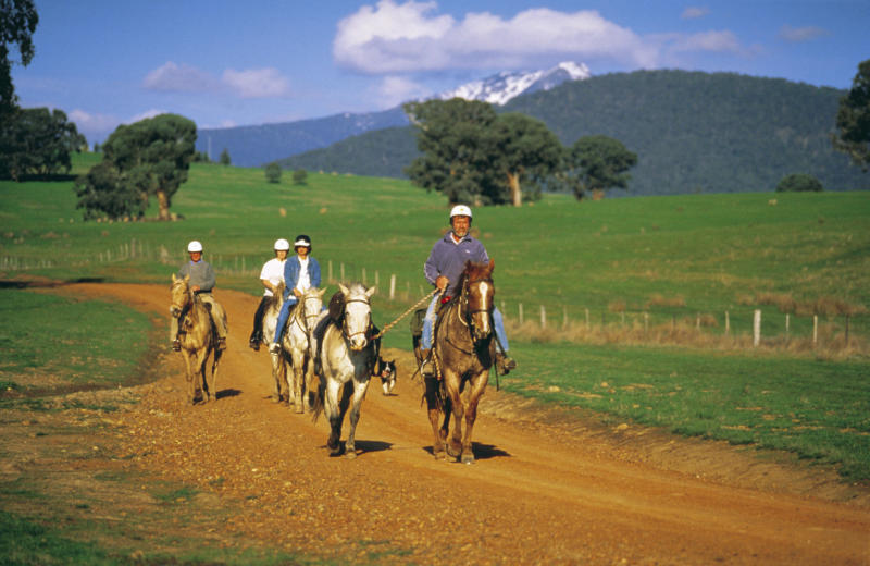 Lake Eildon, Mansfield & Mt Buller - Horse riding at Merrijig
