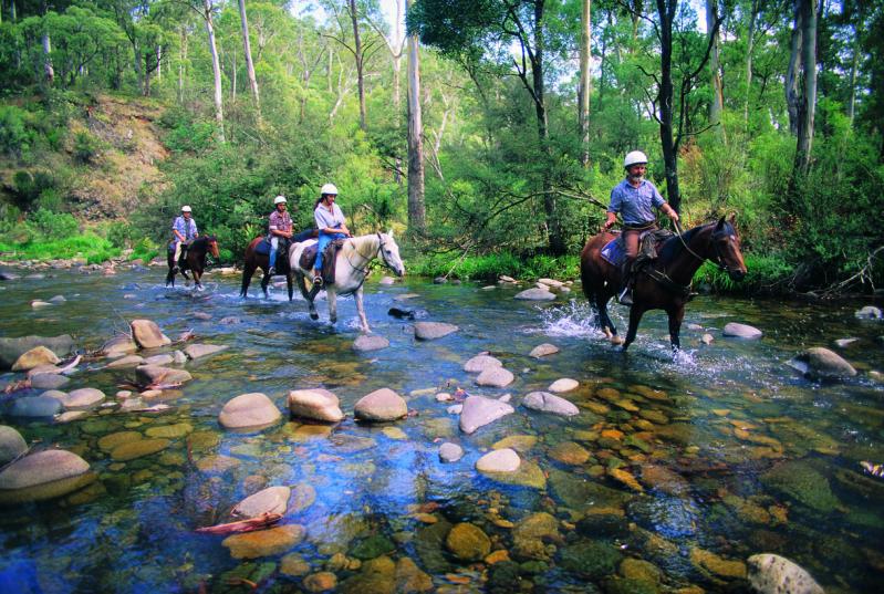 Lake Eildon, Mansfield & Mt Buller - Horse riding along the Howqua River