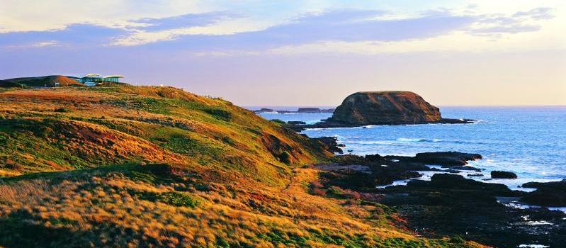 Phillip Island highlights - Seal rocks at The Nobbies