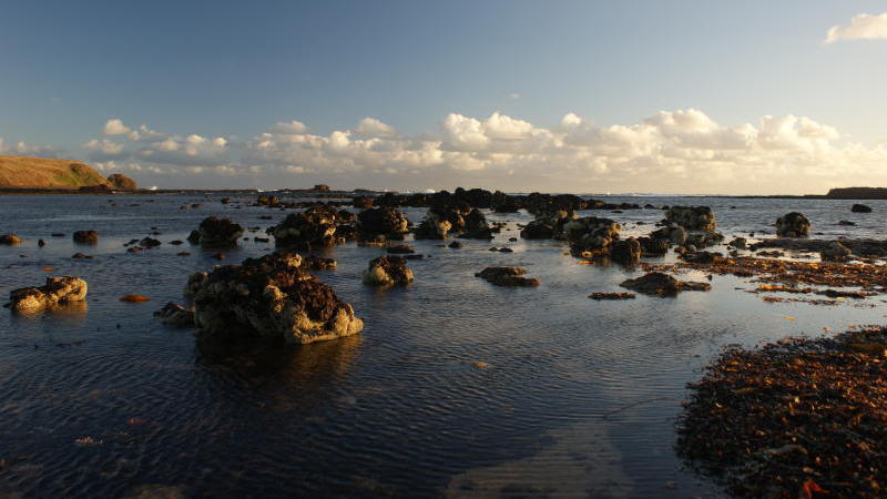 Phillip Island highlights - Kitty Miller Bay, Ventnor (photo by Michael Scott)