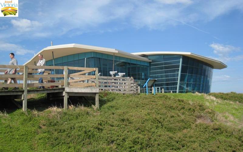 The Nobbies - Seal viewing platform at The Nobbies Centre