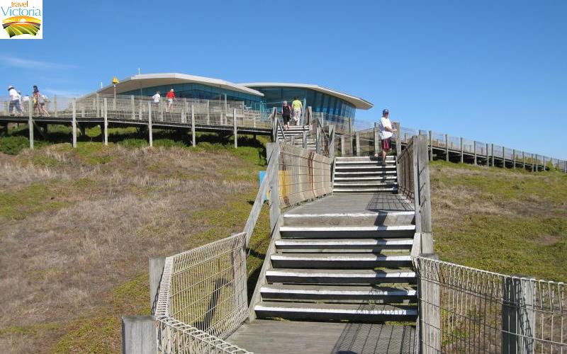 The Nobbies - View north-east along coast from the Nobbies Centre
