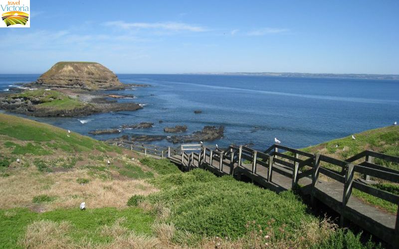 The Nobbies - View of The Nobbies Centre from boardwalk