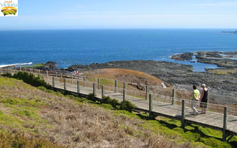 The Nobbies - View west along coast towards The Nobbies