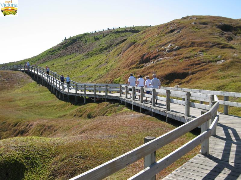 The Nobbies - Boardwalk along southern coastline