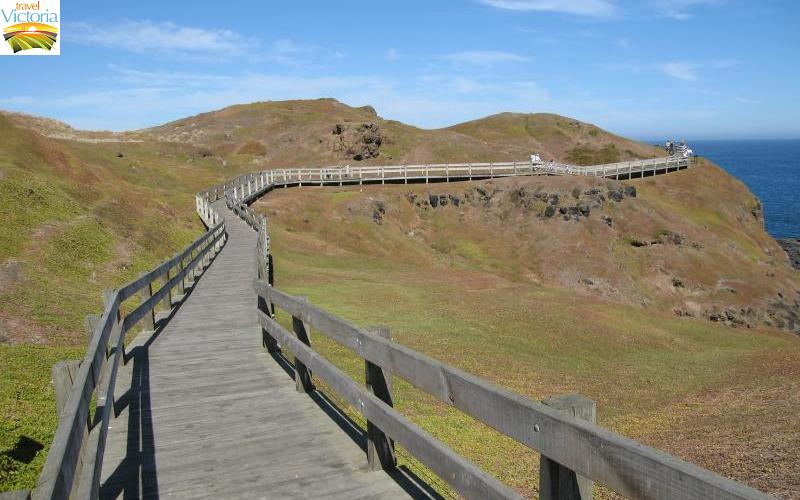 The Nobbies - View east along boardwalk along southern coastline