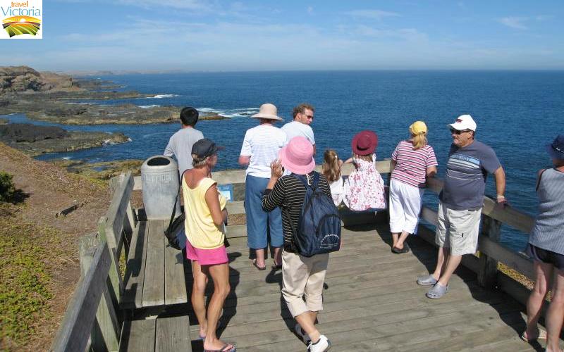 The Nobbies - Boardwalk to eastern lookout