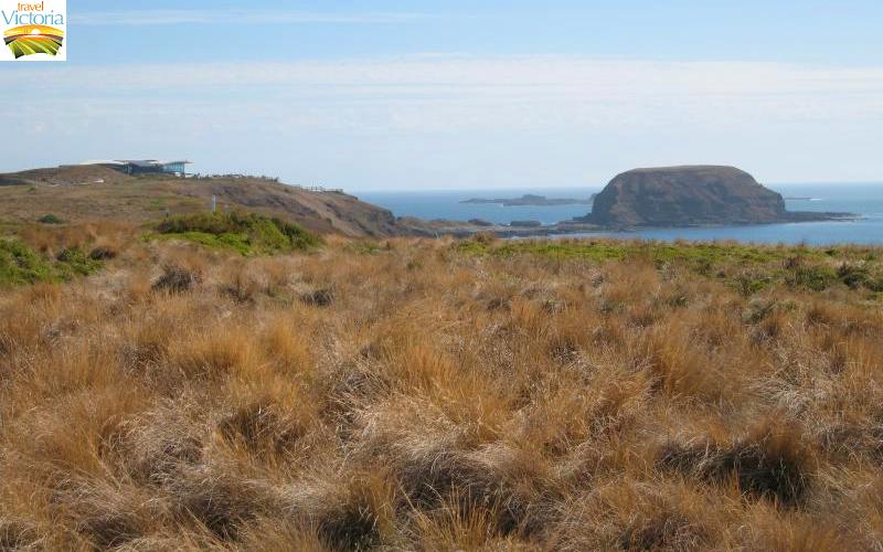 The Nobbies - Viewing platform at eastern lookout