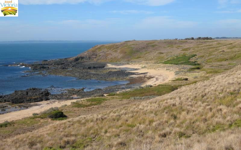 The Nobbies - View east along coast from eastern lookout