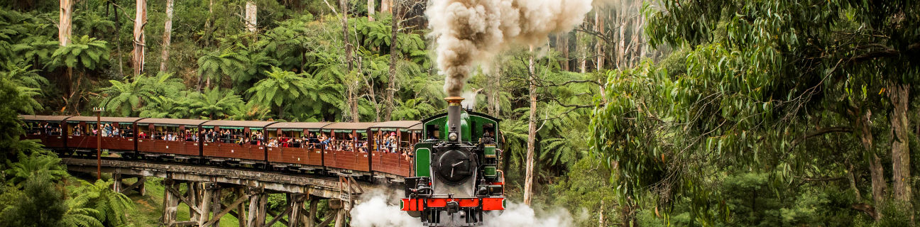Yarra Valley & Dandenong Ranges photo