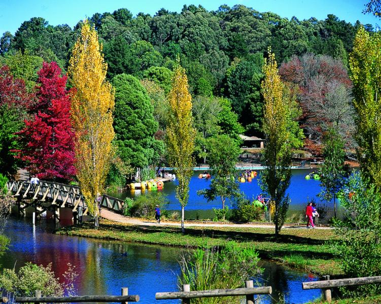 The Dandenongs - Emerald Lake Park