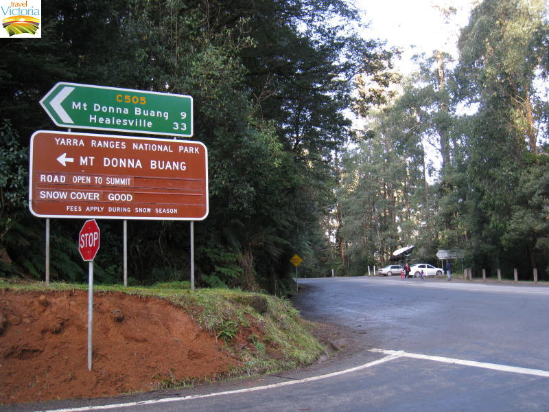 Mount Donna Buang snow - Road to summit at Cement Creek, with 'snow cover good' reported on sign