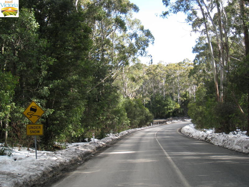 Mount Donna Buang snow - Road below summit cleared of snow