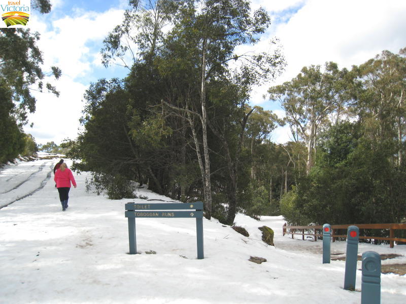 Mount Donna Buang snow photos Travel Victoria & visitor guide