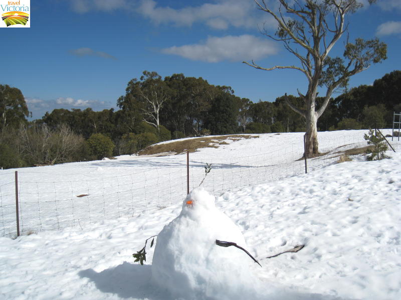 Mount Donna Buang snow - Snow man at summit