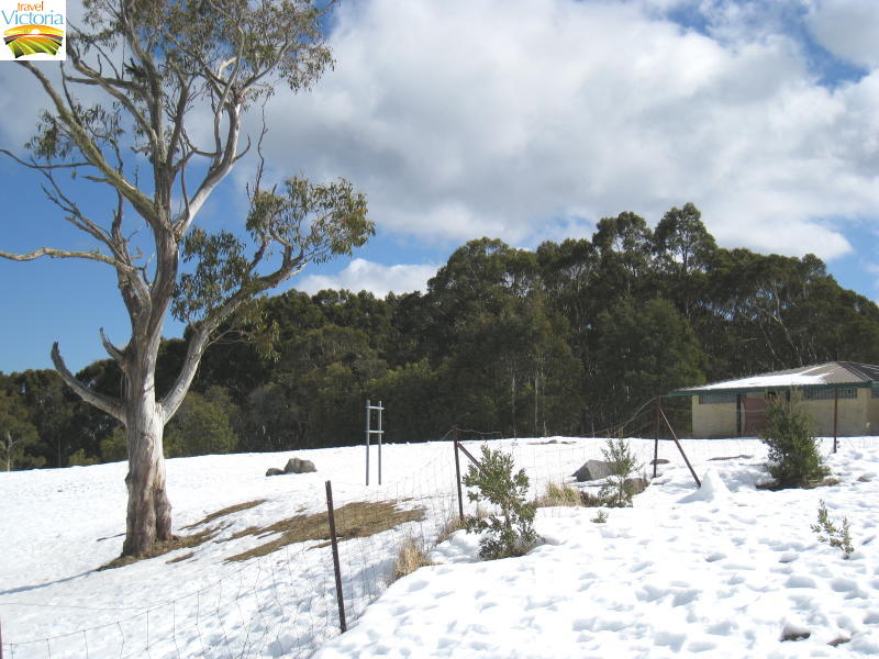Mount Donna Buang snow - Shelter at summit