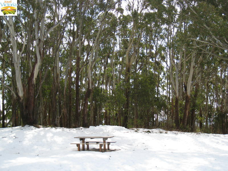 Mount Donna Buang snow - Picnic table at summit