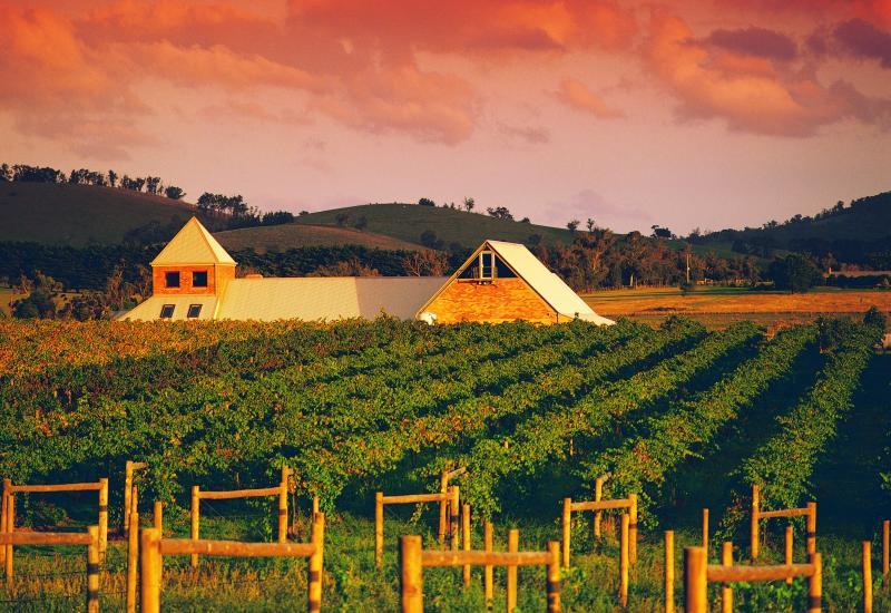 Yarra Valley - Rochford on Eyton, Coldstream