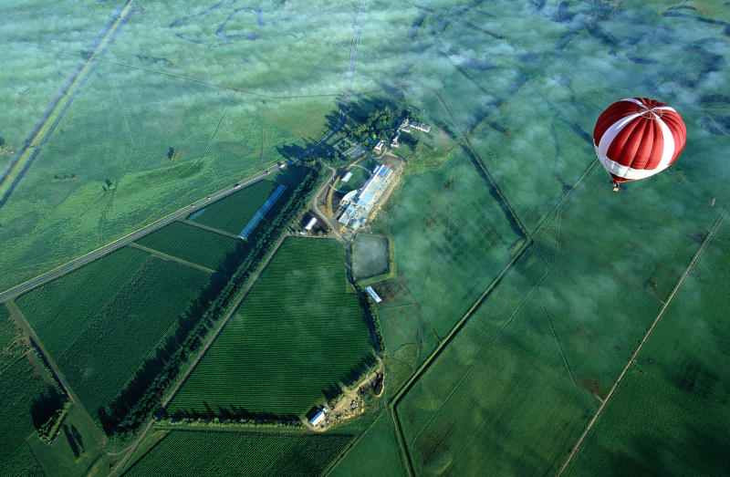 Yarra Valley - Aerial view of Yering Station (photo by Global Ballooning)