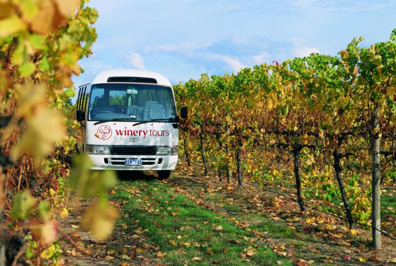 Yarra Valley - Winery tours