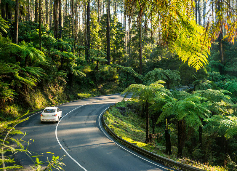 Yarra Valley - The Black Spur between Healesville and Narbethong