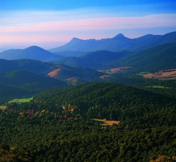 Yarra Valley - Yarra Ranges National Park near Marysville