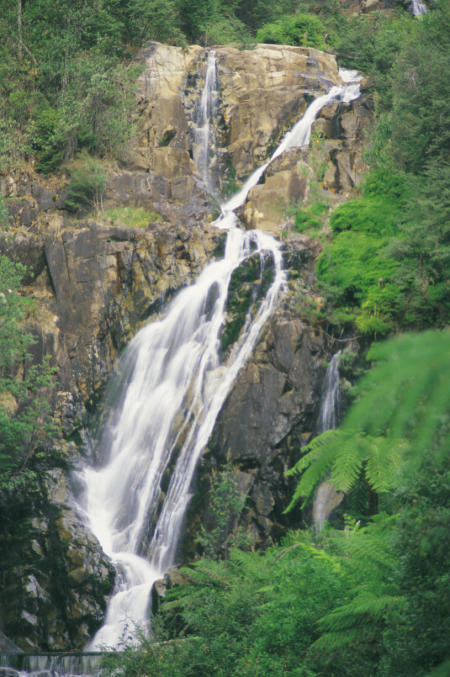 Yarra Valley - Steavensons Falls, Marysville