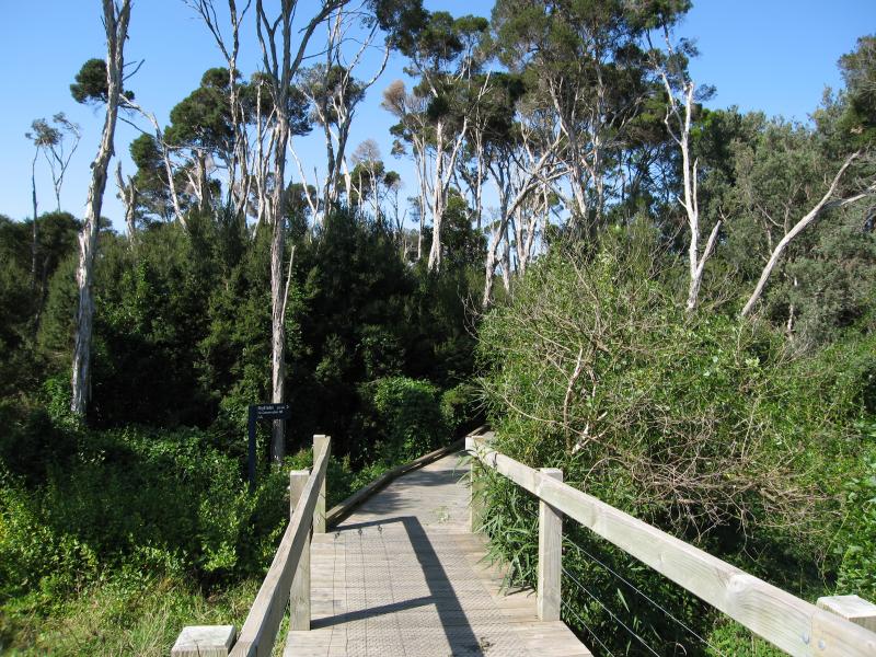 Rhyll - Wetlands at Conservation Hill Reserve: Boardwalk through bush and wetlands, west of Conservation Hill, Cowes-Rhyll Rd