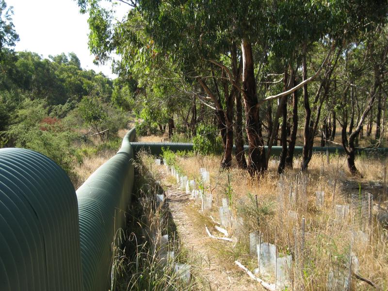 Rhyll - Koala Conservation Centre, Phillip Island Road: Fencing around koala enclosures