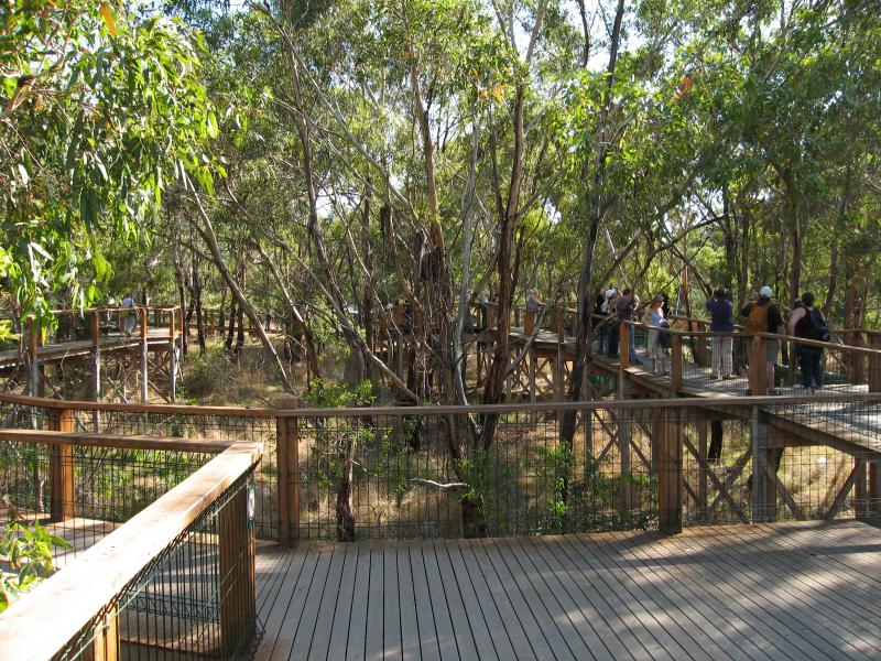 Rhyll - Koala Conservation Centre, Phillip Island Road: Koala Boardwalk