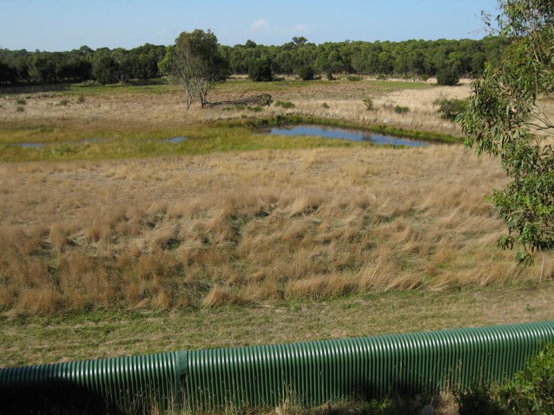 Rhyll - Koala Conservation Centre, Phillip Island Road: View of wetlands from Koala Boardwalk