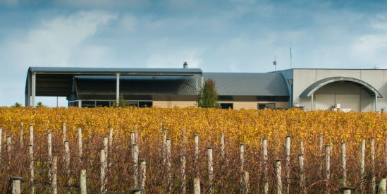 Purple Hen Wines, Rhyll