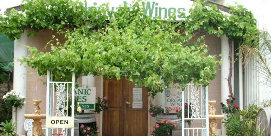 Robinvale Organic Wines, Robinvale