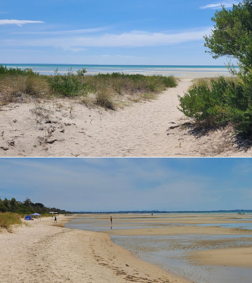 Location Location Location Rosebud - The beach