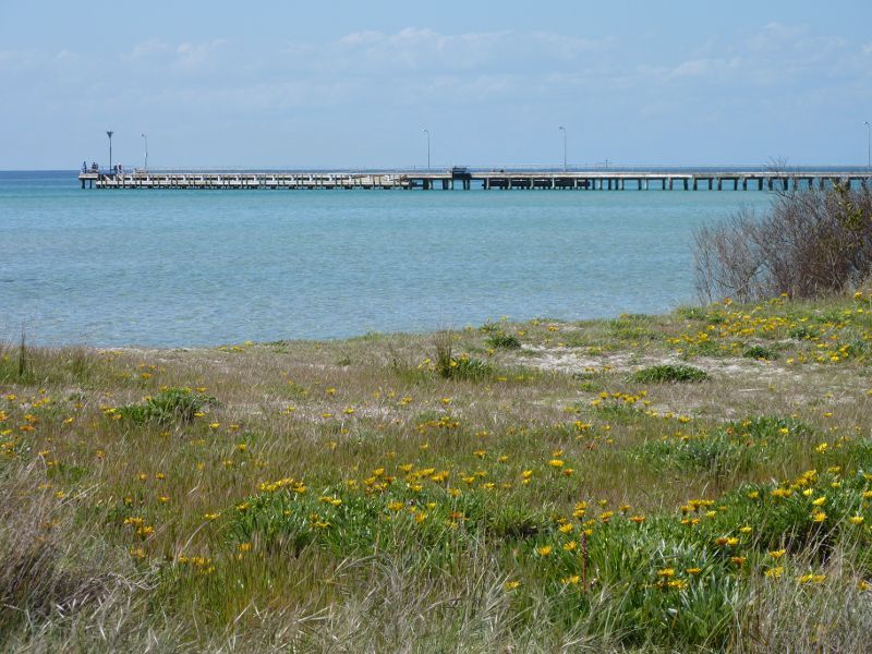 Rosebud - Foreshore reserve and Bay Trail on west side of Rosebud Pier - View of pier from foreshore reserve