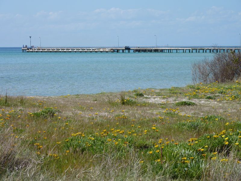 Rosebud - Foreshore reserve and Bay Trail on west side of Rosebud Pier: View of pier from foreshore reserve