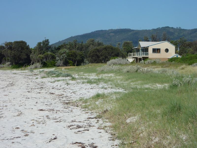 Rosebud - Beach at Village Green: Easterly view through foreshore towards Arthurs Seat