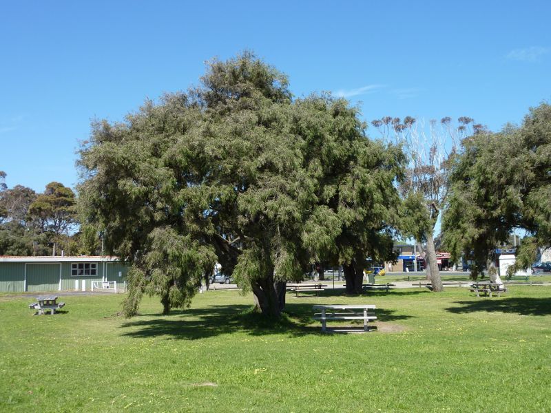Rosebud - C.R. Coleman Park and Rotary Park, Point Nepean Road east of Boneo Road: Picnic area at C.R. Coleman Park
