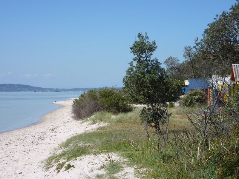 Rosebud - Beach at C.R. Coleman Park: Easterly view along beach