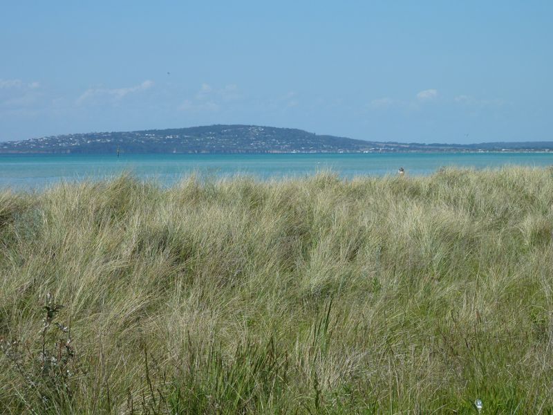 Rosebud - Foreshore reserve and Bay Trail on east side of Rosebud Pier - View towards Mt Martha from Bay Trail